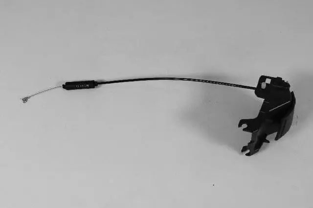 1HM12DX9AC - Interior Trim: Seat Back Handle for Mopar Image