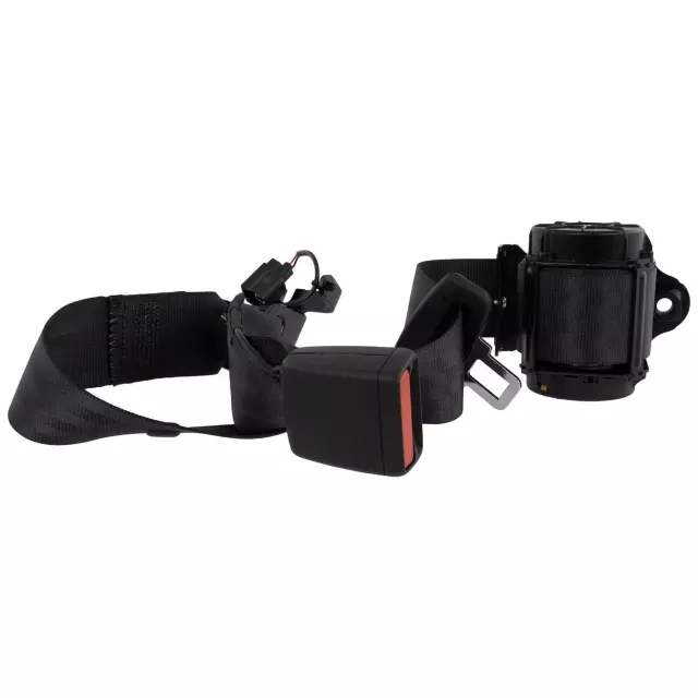 Center Seat Belt - Ford (NZ6Z-60611B64-AA)