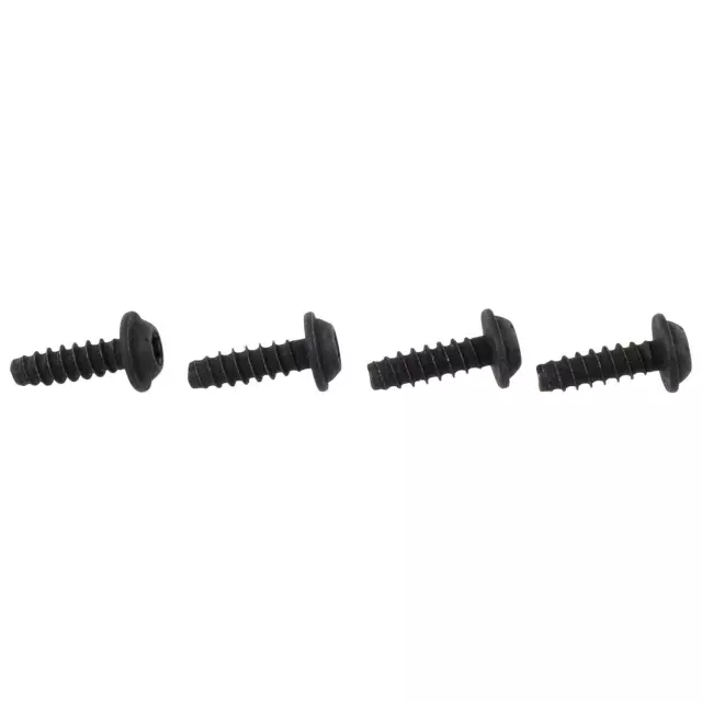 W506945S450B - : Ballast Screw for Ford: Explorer, F-150 Lightning, Mustang, Police Interceptor Utility, Ranger Image