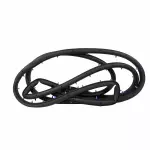 EJ7Z7820531A - Body: Door Weather-strip for Lincoln: MKC Image