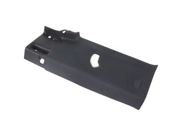 C Pillar Molding, Left - Mopar (1DX61DX9AB)