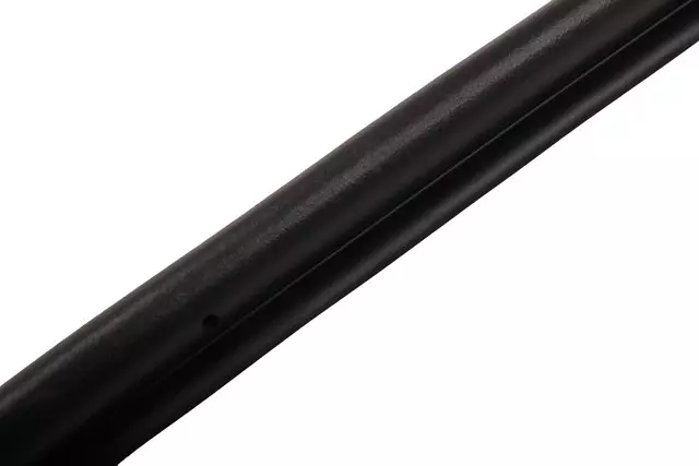 Rear Passenger Side Door Weatherstrip - GM (84576687)
