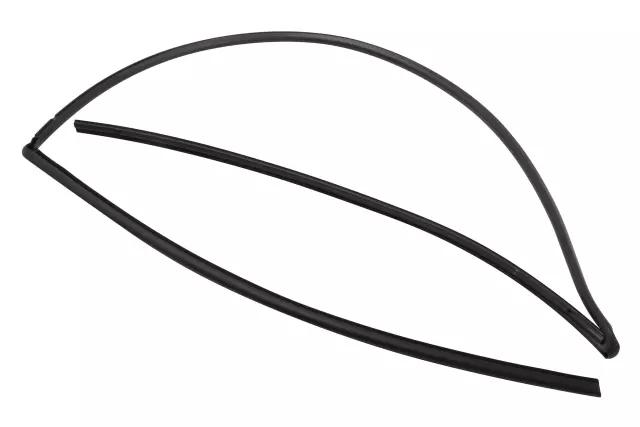 Seal Strip - GM (84947928)