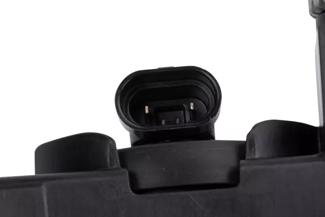 Fog Lamp Assembly - GM (10383563)