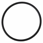 RG638 - Cooling System: Motorcraftâ„¢ Lower Housing O-Ring for Ford: Explorer, Explorer Sport, Explorer Sport Trac, Mustang, Ranger | Mercury: Mountaineer Image