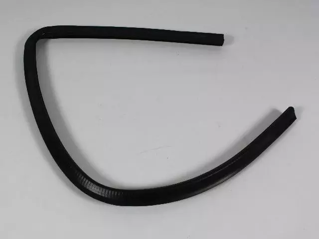55276165AH - : Rear Door Seal, Left for Mopar Image