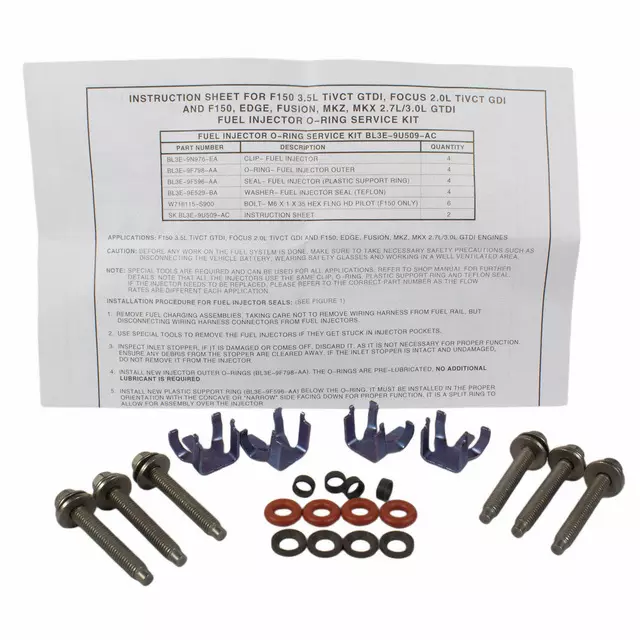 Fuel Injector O-Ring Kit - Ford (BL3Z-9229-C)