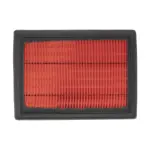 AF54M30P0PNW - Engine: Value Advantageâ„¢ AIR FILTER for Infiniti Image