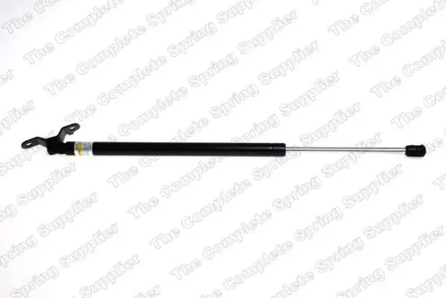 8156816 - Exterior: Lesjofors Tailgate Lift Support for Lesjofors Image
