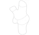 2018050122 - : Distributor for Mercedes-Benz Image