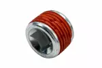 93439312 - : Threaded Plug for ACDelco Image
