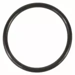 BC3Z00815B - : 2011-2024 Ford - Thermostat O-Ring for Ford: F-250 Super Duty, F-350 Super Duty, F-450 Super Duty, F-550 Super Duty Image