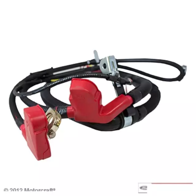 Motorcraft™ Battery Cable - Ford (WC-95681)