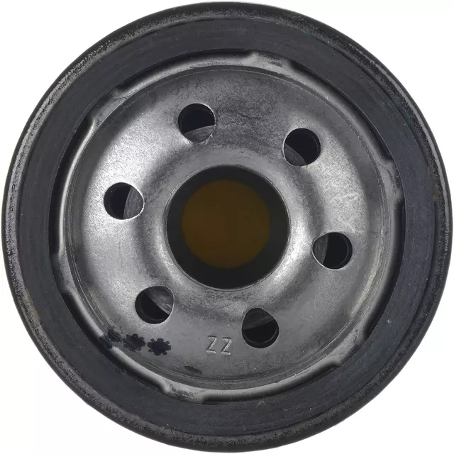 Filter - GM (12743715)