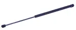 612469 - : Liftgate Lift Support for Tuff Support Image