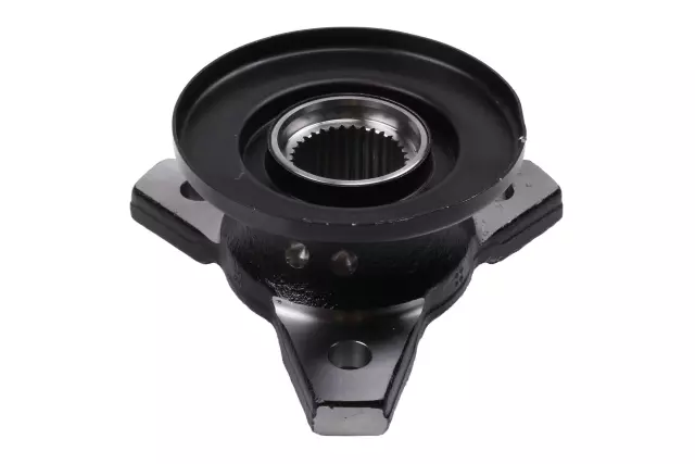 Rear Wheel Half-Shaft Flange - GM (23417953)