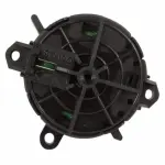 SW7015 - Steering: Motorcraftâ„¢ Cruise Switch for Ford: Fiesta Image