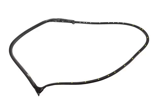 22862991 - Body: Door Weather-strip for GM Image