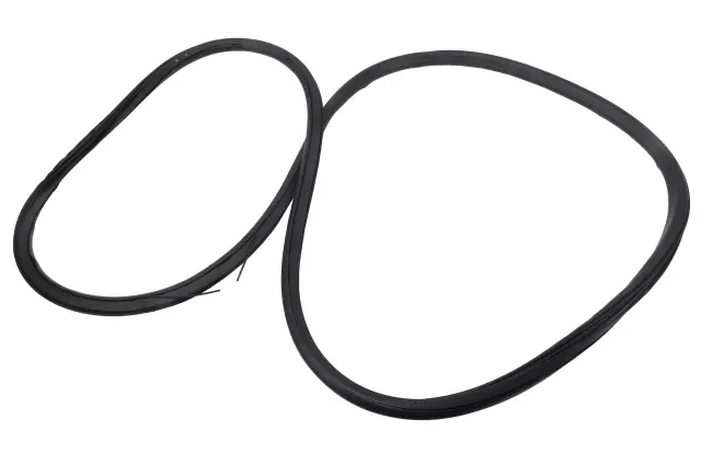 Rear Side Door Body Side Weatherstrip - GM (84360723)