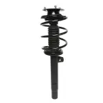 818607 - : PRT 818607 Suspension Strut and Coil Spring Assembly for PRT PERFORMANCE RIDE Image