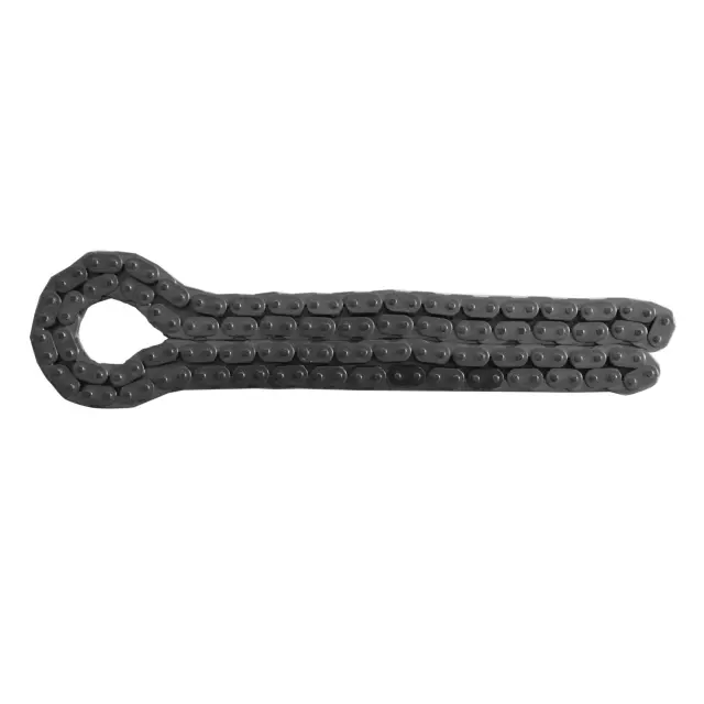 ZCC727F - Engines &amp; Components: INA US Engine Timing Chain for INA US Image