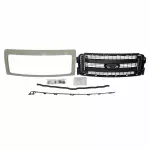 DL3Z8200CPTM - : Grille for Ford: F-150 Image