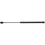 4365 - : Back Glass Lift Support for STRONG ARM Image
