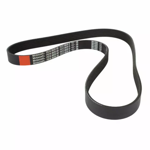 F57Z8620D - Cooling System: Serpentine Belt for Ford: Ranger Image