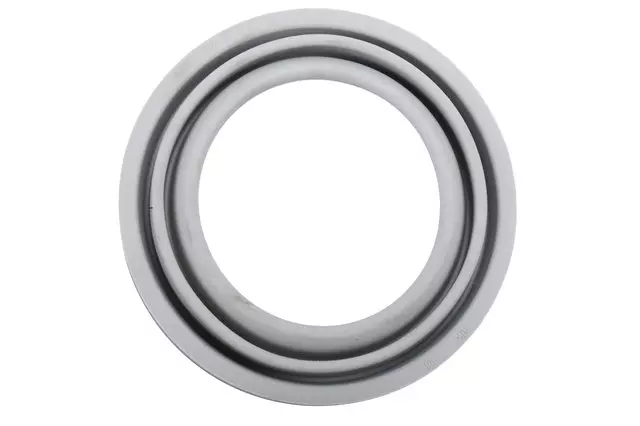 Rear Brake Caliper Piston Seal Kit - GM (84273493)