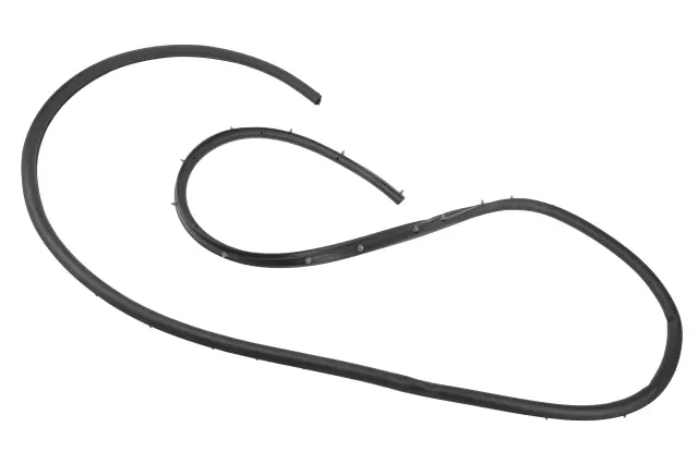 Door Weather-Strip - GM (39203333)