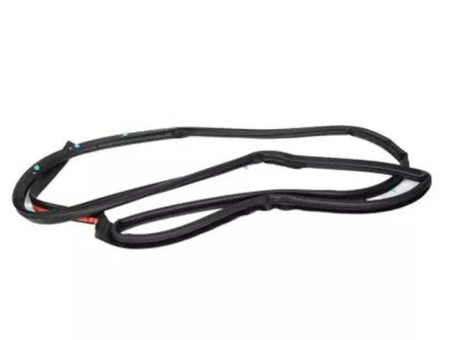 Door Weather-Strip - Ford (CE8Z58253A11D)