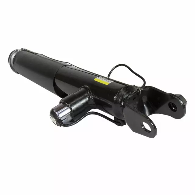 DA5Z18125E - Suspension: Shock Absorber for Lincoln: MKS Image