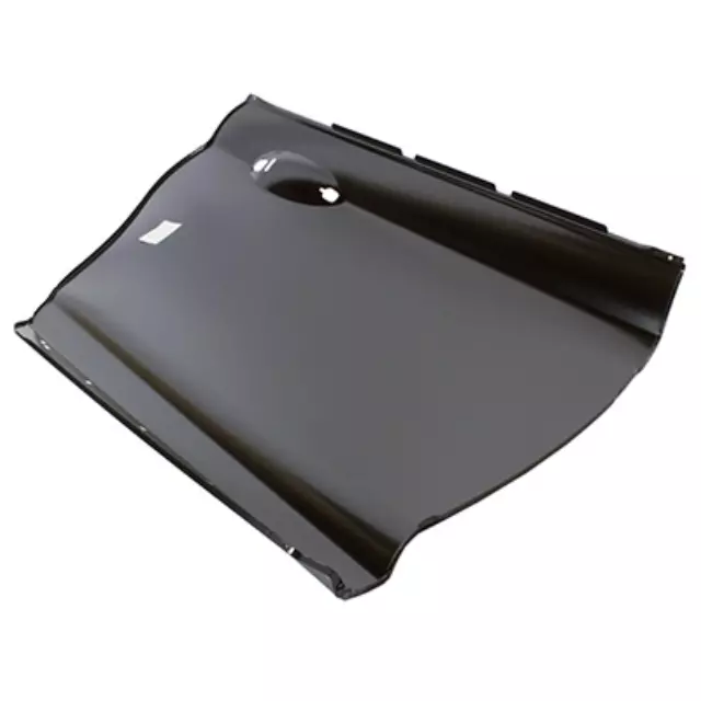 Outer Panel - Ford (DP5Z-5424701-A)