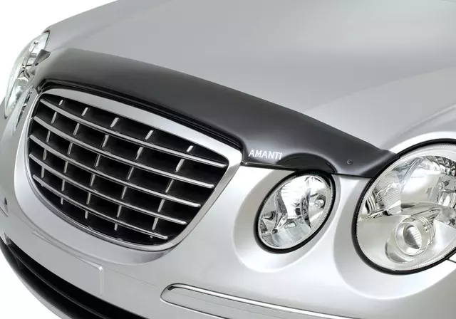 U82403F000 - : Hood Protector for Kia Image