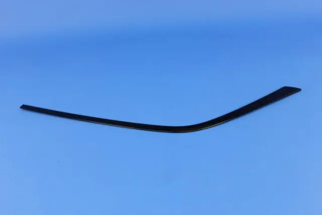 Day Light Opening Molding, Right - Mopar (68224370AG)