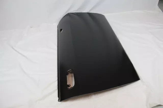 Door Outer Panel, Right - Mopar (4816156AD)