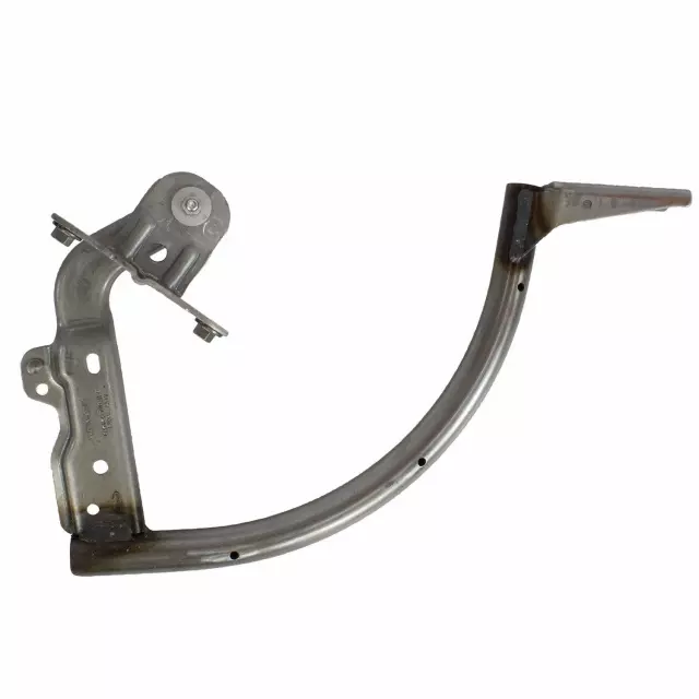 CM5Z5442700B - : Hinge for Ford: Focus Image