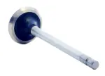 V4343 - : Engine Exhaust Valve for Enginetech Image