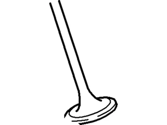 F8CZ6505AA - Engine: Intake Valve for Ford: Contour, Escape, Escort, Focus | Mercury: Cougar, Mystique Image