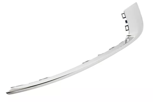 13238373 - : Molding for Buick: Regal Image