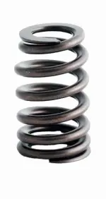 ERV1612 - : Engine Valve Spring for Enginetech Image
