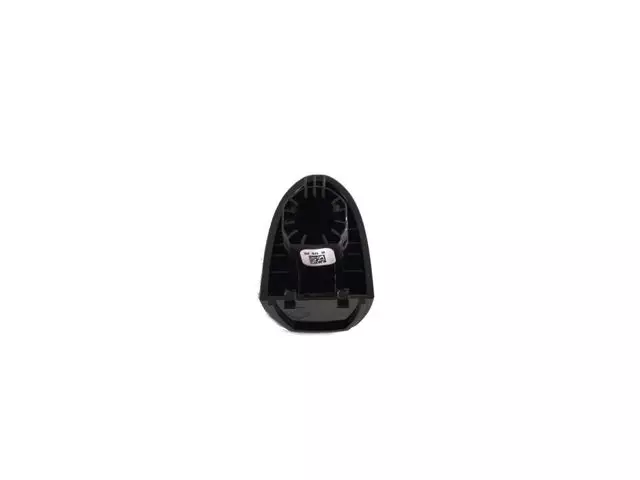 Door Handle Cap, Right - Mopar (1sz28dx8ae)