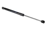 24463829 - : Lift Cylinder for GM Image