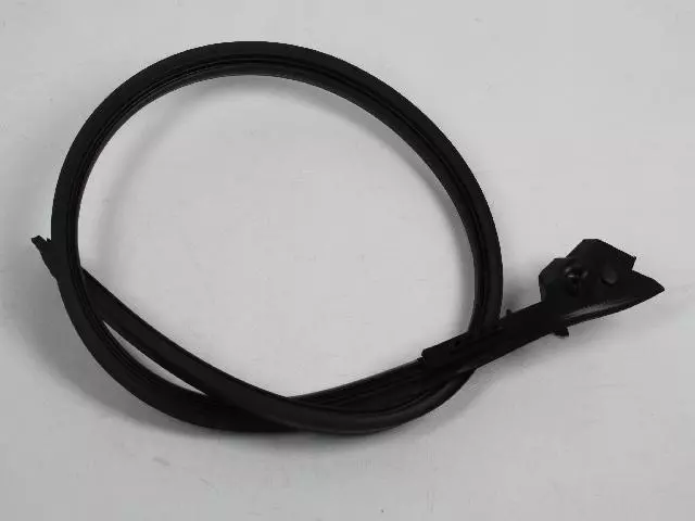 4894353AJ - : FRONT DOOR HEADER WEATHERS for Chrysler: Pacifica Image