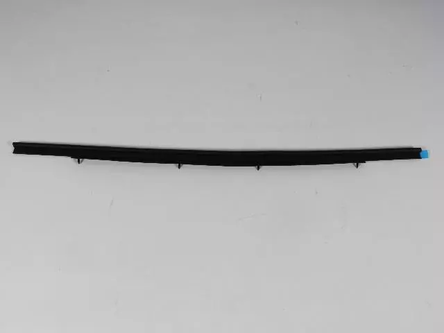 55257239AE - Doors and Related Parts: Door Seal, Right for Mopar Image