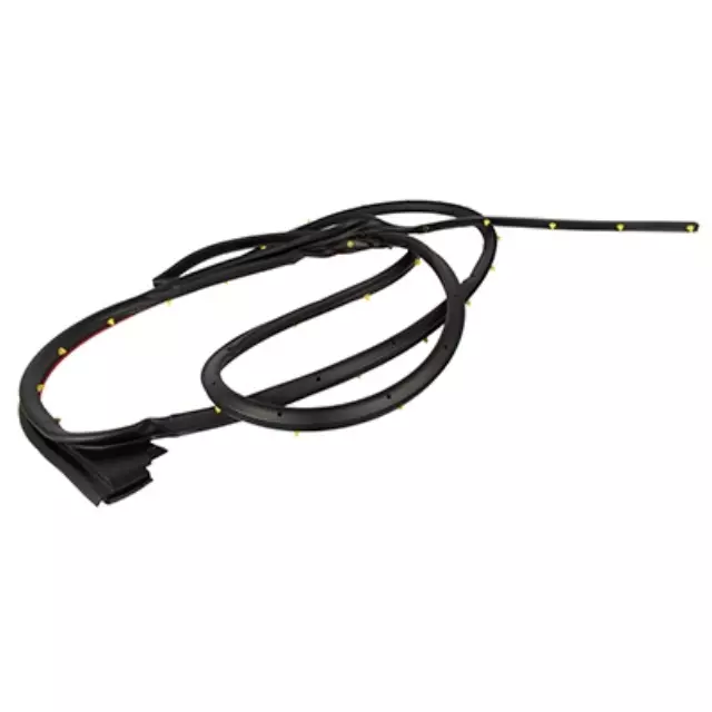 Door Weather-Strip - Ford (FL3Z-1625324-A)