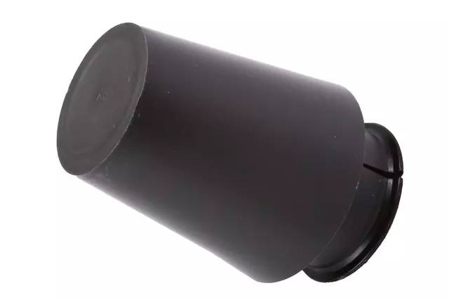 Secondary Air Injection Pump Filter - GM (24508237)