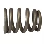 YF1Z6513CA - Engine: Valve Springs for Ford: Ranger, Taurus, Windstar | Mercury: Sable Image