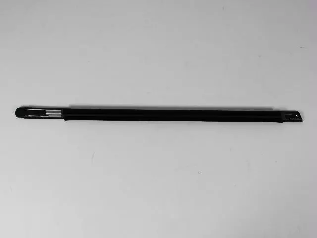 Front Door Belt Weatherstrip, Left - Mopar (4805997AE)