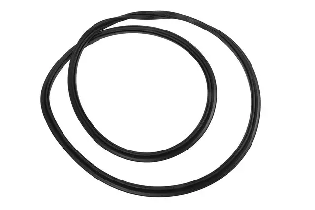 25618612 - Body: Weatherstrip for GM Image